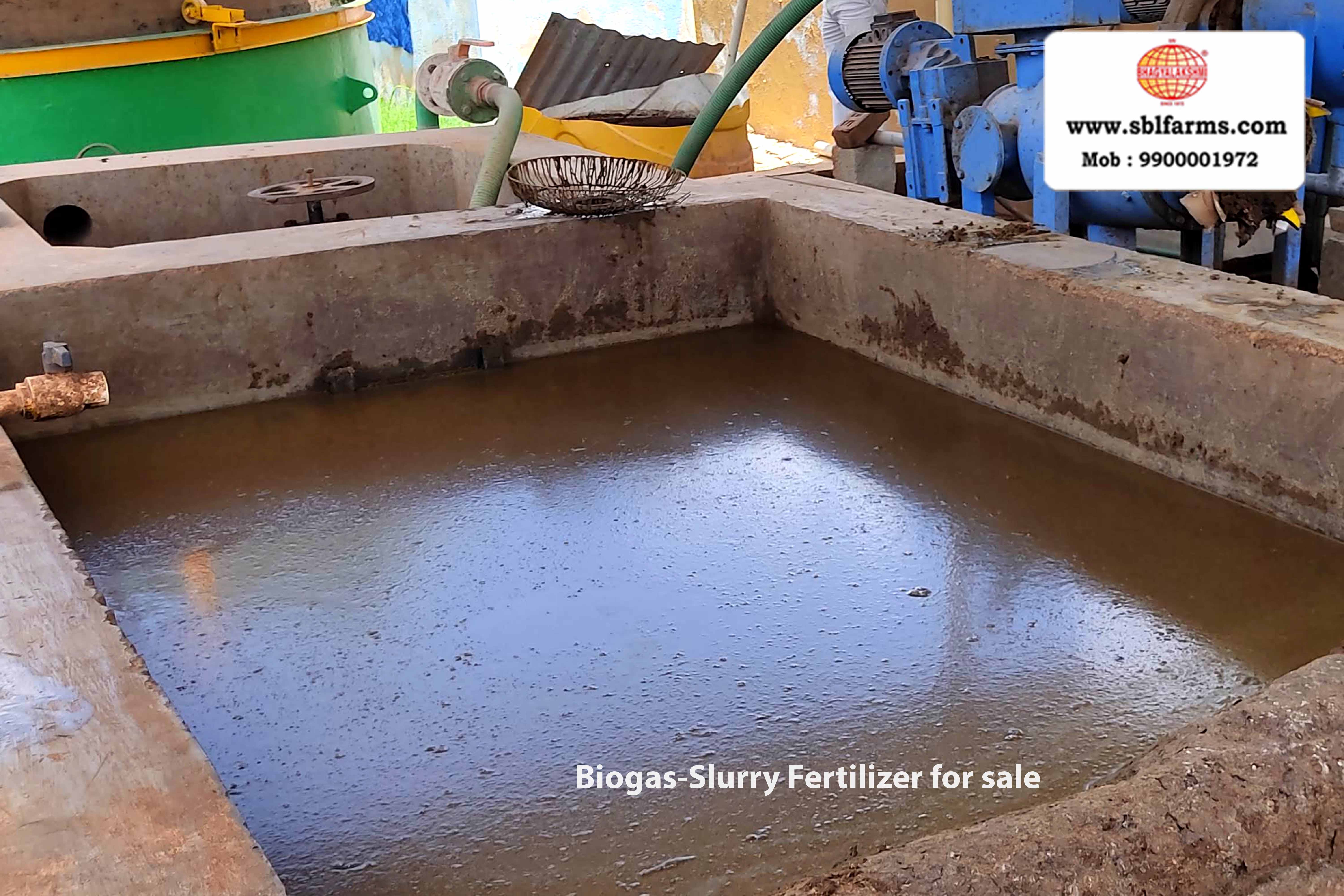 Sri Bhagyalakshmi Farms Bangalore - biogas-slurry fertilizer | Slurry Fertilizer for Sale  |  Fertilizer for vegetable better growth | bioslurry manufacturers, suppliers & exporters in Bangalore|Bio slurry for sale in bangalore |  Sri Bhagyalakshmi Farms fertilizer slurry Bangalore | Bioslurry a supreme fertiliser | slurry fertilizer near me bangalore | slurry fertilizer near me bangalore contact number | manure fertilizer for sale in bangalore | Organic Manure for sale | biogas slurry uses | biogas slurry composition | organic fertilizer price per kg | biogas slurry meaning | organic fertilizer price in india | organic fertilizer price per ton | Sri Bhagyalakshmi Farms, Cow Dung Manure Organic Fertilizer Suppliers in Bangalore